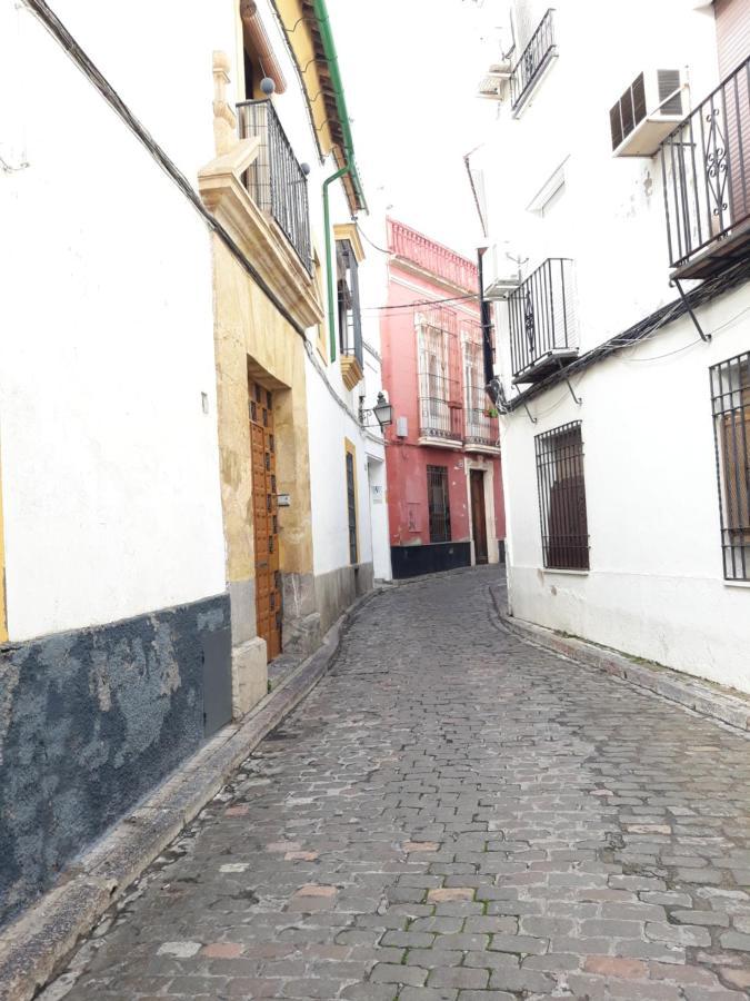 Apartamento Pleno Centro Wallada コルドバ エクステリア 写真